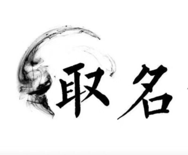 泊头宝宝取名 大师一对一人工起名